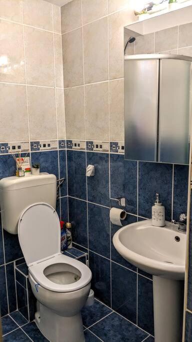 Cosy One Bedroom Flat With Free Parking & Wifi Κλουζ-Ναπόκα Εξωτερικό φωτογραφία